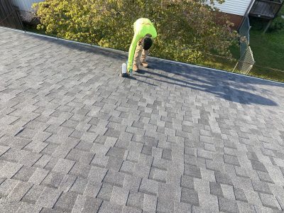 Roofing Expert Examining Roof