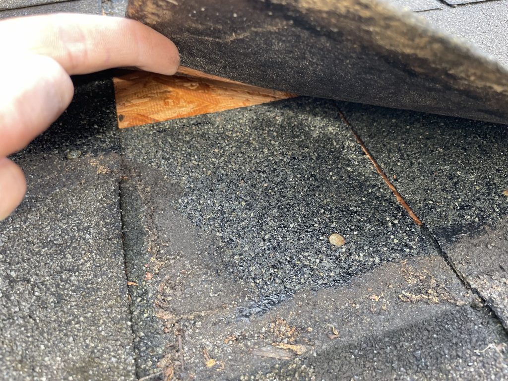 Roof Inspection for Leakage